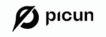 Picun logo